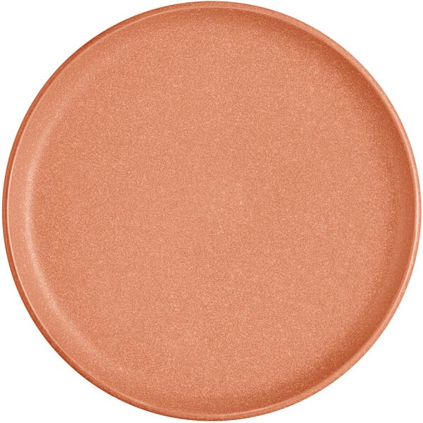 A round, terra cotta-colored plate with a matte finish and a slightly raised rim.