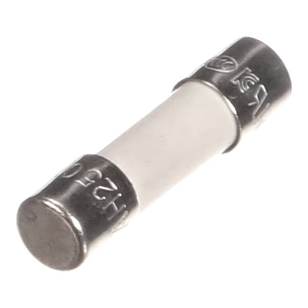 A cylindrical fuse with metal end caps and a white ceramic body.