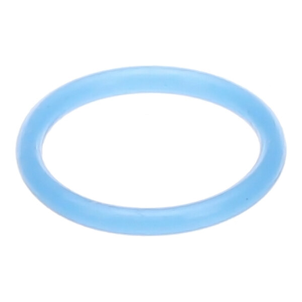 A light blue rubber O-ring.