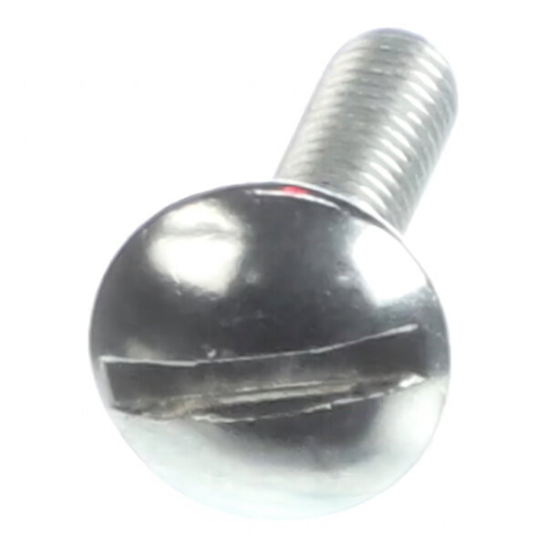 A metal slotted round head screw.