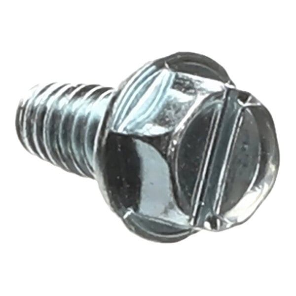 A metal hex head screw with a slotted drive and threaded body.