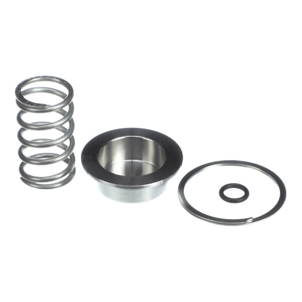 A major rebuild kit for a pneumatic faceplate, including a spring, metal collar, and sealing rings.