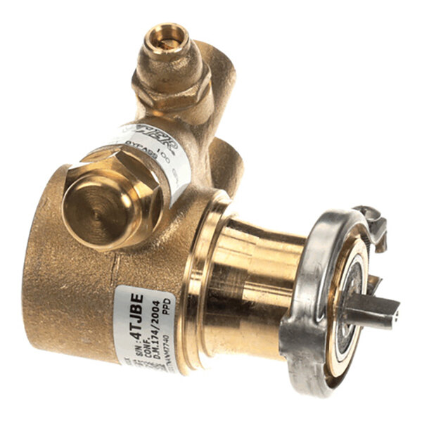 A brass rotary vane water pump designed for 100 gallons per hour flow, typically used in beverage or water dispensing equipment.