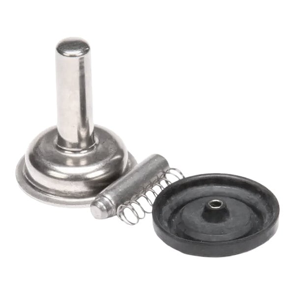 A repair kit for an inlet valve diaphragm, including a metal valve component, a spring, and a rubber diaphragm.