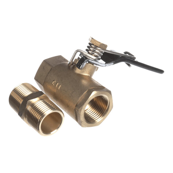 A brass spring-loaded silt valve with a metal lever and a threaded connector.