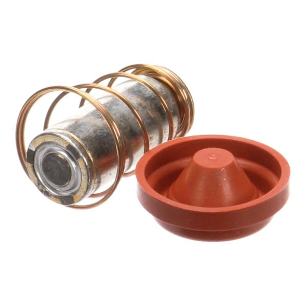 A repair kit for a dump valve diaphragm, including a metal spring assembly and a red rubber diaphragm component.