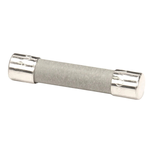 A cylindrical ceramic fuse with metal end caps, rated for 20 amps.