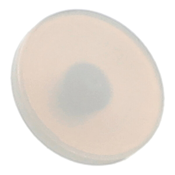 A round, translucent bearing used for a fruit lift in food processing equipment.