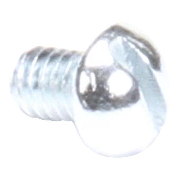 A close-up of a shiny, metallic slotted round head screw with a short threaded shaft.