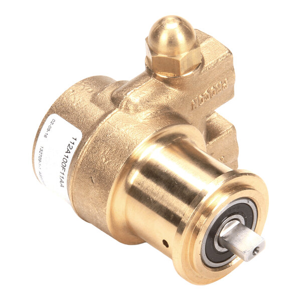 A brass carburetor pump designed for 100 gallons per hour capacity, without a strainer.