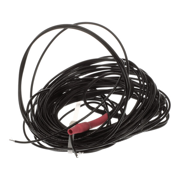 A coiled black wire with a red-tipped sensor, identified as an evap sensor.