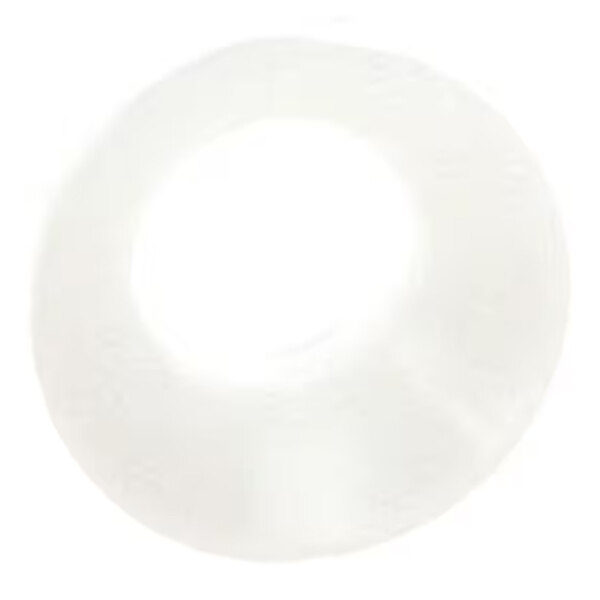 A translucent, circular nylon washer with a central hole.