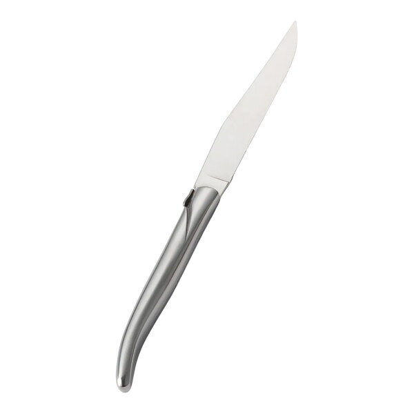 A stainless steel steak knife with a sleek handle.