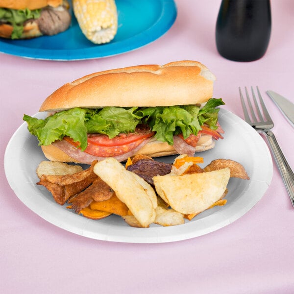 A sandwich and chips on a Creative Converting white paper plate.