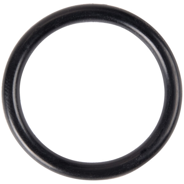 A black rubber circle, the All Points 1" Discharge Tube O-Ring.