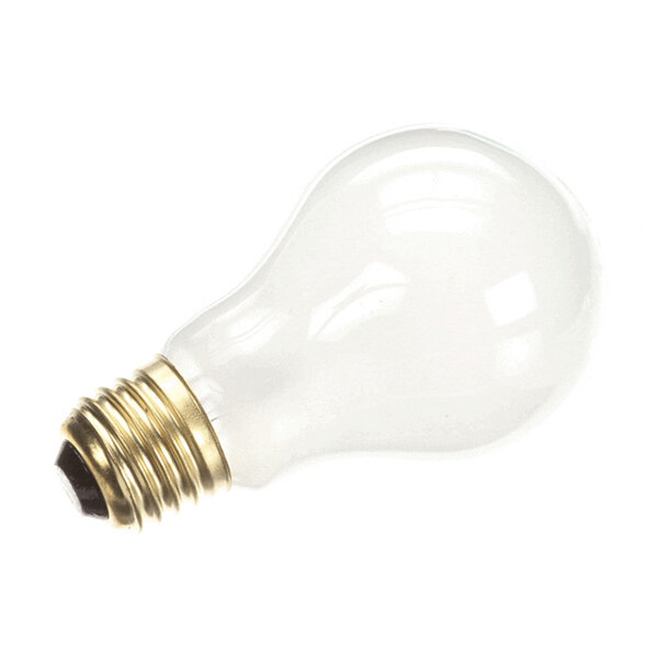A standard clear incandescent light bulb with a brass screw base.