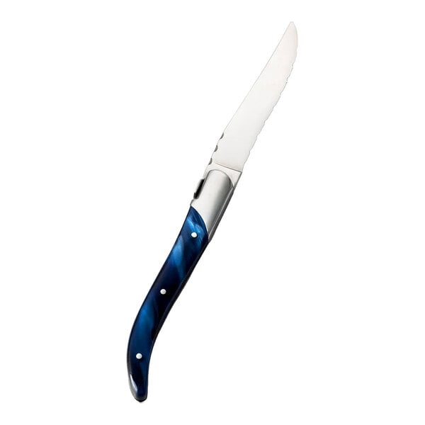 A stainless steel steak knife with a blue acrylic handle.