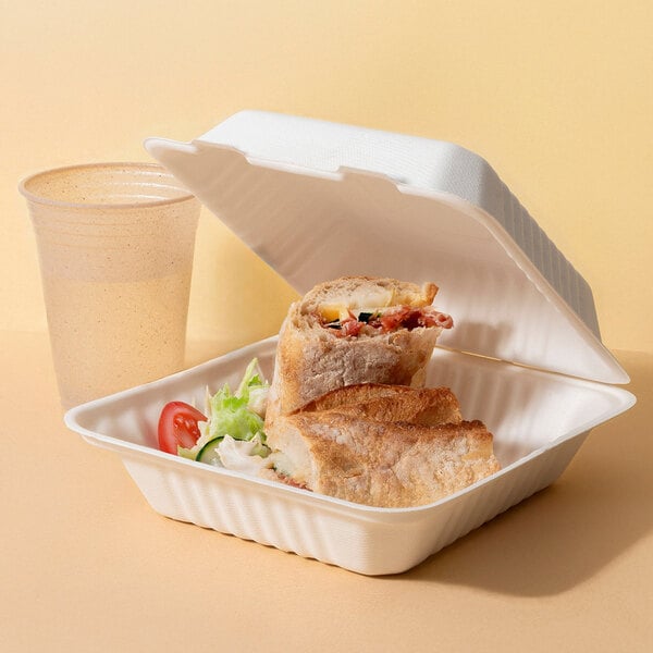 A compostable sugarcane fiber clamshell take-out container holding a sandwich and salad, with a drink cup beside it.