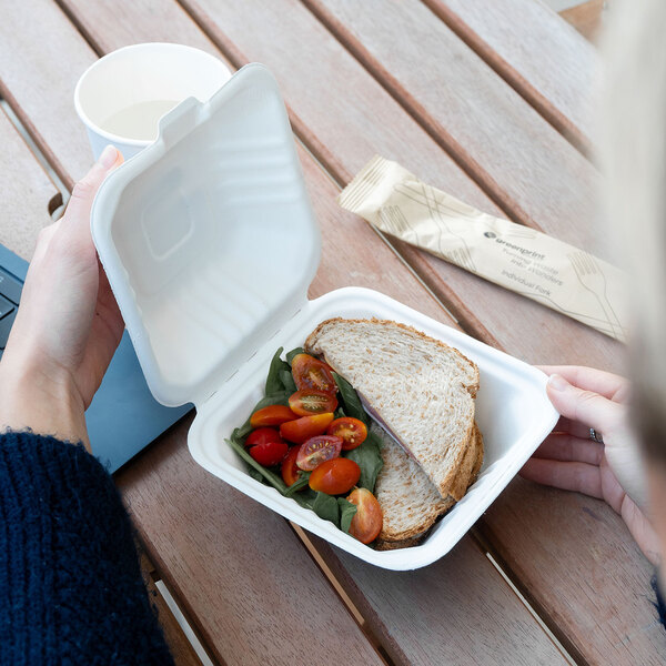 A white compostable sugarcane fiber clamshell take-out container holding a sandwich and salad.
