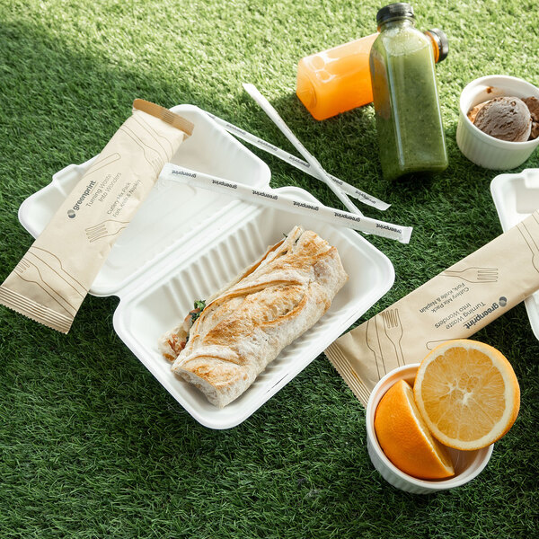 A compostable sugarcane fiber clamshell take-out container holding a wrap sandwich, shown with utensils, drinks, fruit, and dessert on a grassy surface.