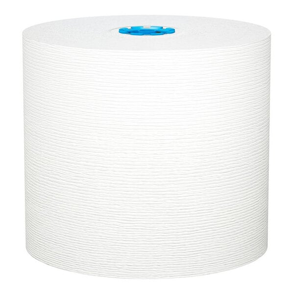 A large white roll of textured paper towel with a blue core visible at the center.