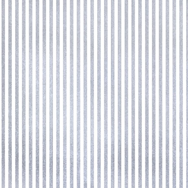 A 3' x 7' pinstripe strip door kit with five 8-inch by 1/16-inch vinyl strips and a MaxBullet mounting system.
