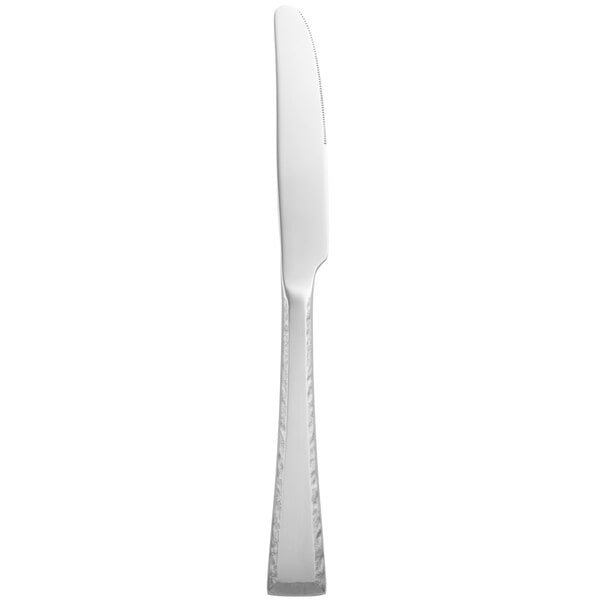 Libbey Conde 18/8 Extra Heavy Weight Stainless Steel 9 1/4" Dinner Knife - Sample