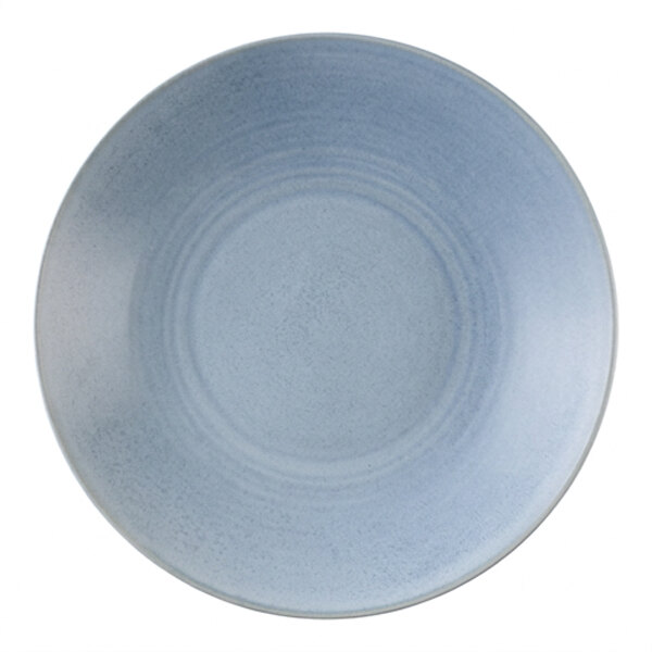 Dudson Evo 9 1/2" Matte Azure Deep Coupe Round Stoneware Plate by Arc Cardinal - 6/Case