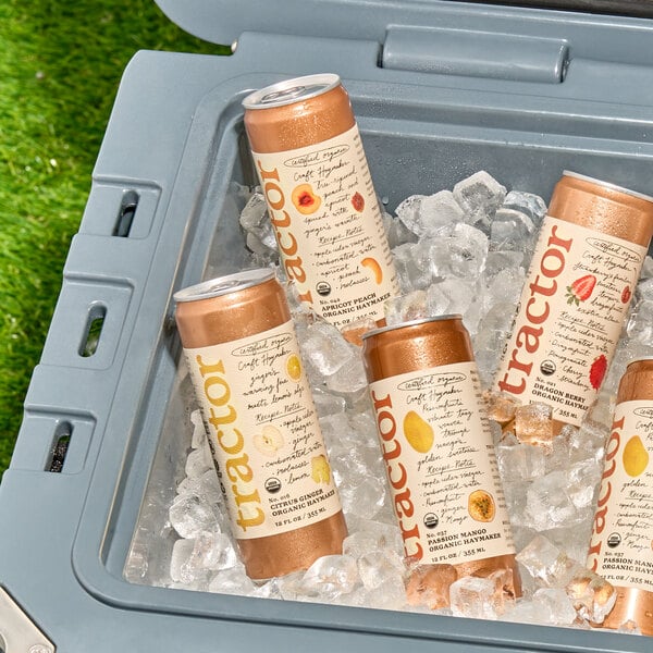 Five cans with beige and copper labels are chilling in a cooler filled with ice, with some grass visible in the background.