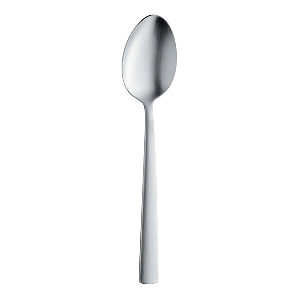 A single stainless steel spoon with a smooth, modern design is shown against a white background.