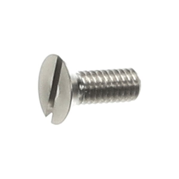 A metal screw with a slotted flat head and threaded shaft.