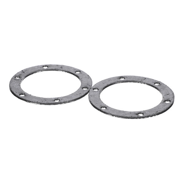 Two circular, flat, metallic gaskets with evenly spaced holes around the perimeter are shown on a white background.