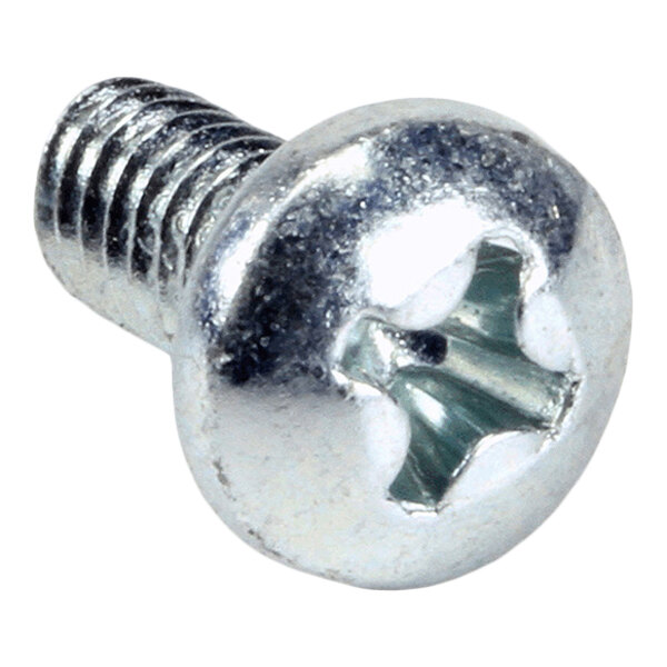 A close-up view of a metallic Phillips head screw with a round, slotted head and threaded shaft.