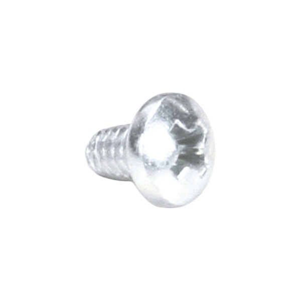 A single metal screw with a round, slotted head and threaded shaft is shown against a white background.