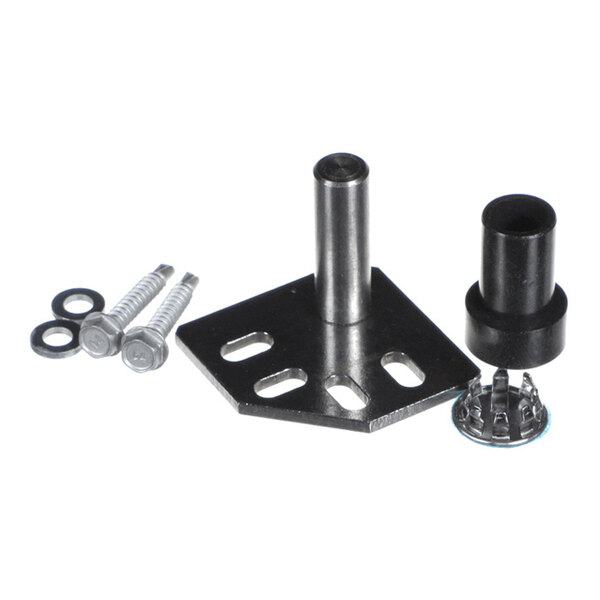 True Refrigeration 828455 Hinge Kit, Door, Top, Reversable