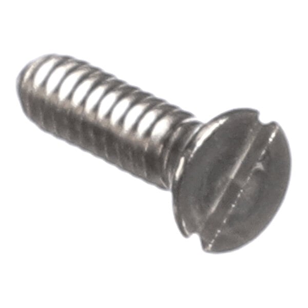 A metal screw with a slotted flat head and threaded shaft.