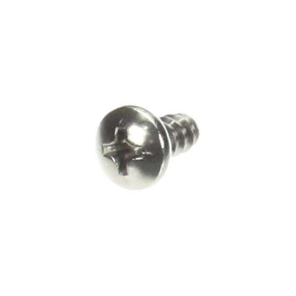 A single metallic Phillips head screw with a rounded top and a short threaded shaft.