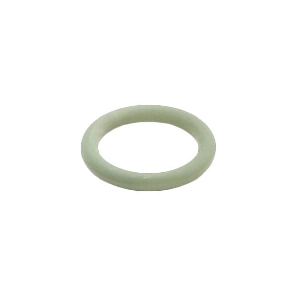 A light green circular rubber-like ring, likely an O-ring, shown against a white background.