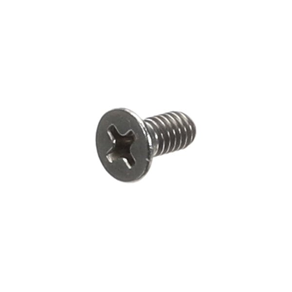 A single metal screw with a Phillips flat head and threaded body is shown against a white background.