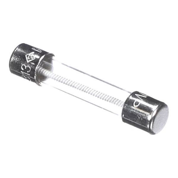 A cylindrical glass fuse with metal caps on both ends and a visible wire filament inside.