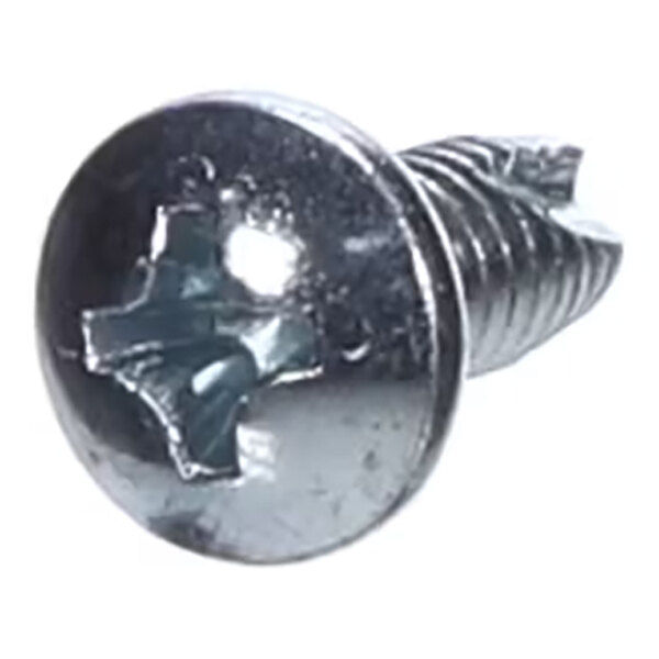 A close-up view of a metallic screw with a pan head and a Phillips drive.