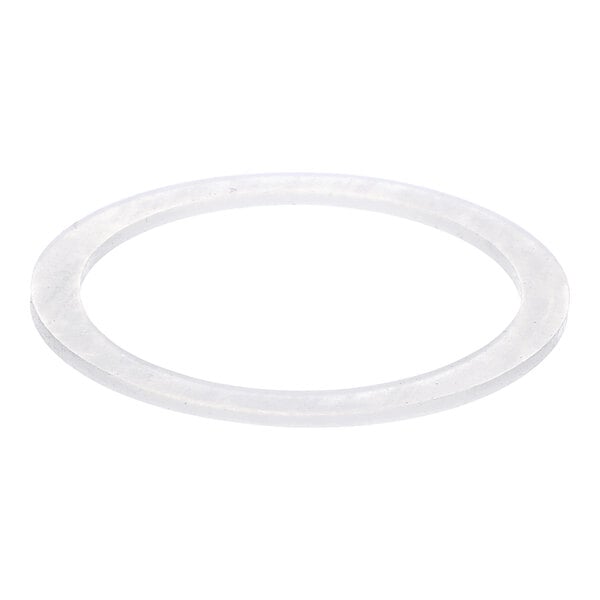 A translucent, flat, circular gasket with a hole in the center, shown against a white background.