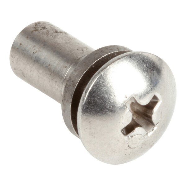 A metallic screw with a round, slotted head and a cylindrical shaft.