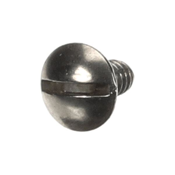 A metal screw with a round slotted head and threaded body.