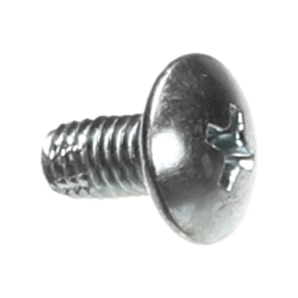 A close-up view of a metallic Phillips head screw with a round, domed head and threaded shaft.