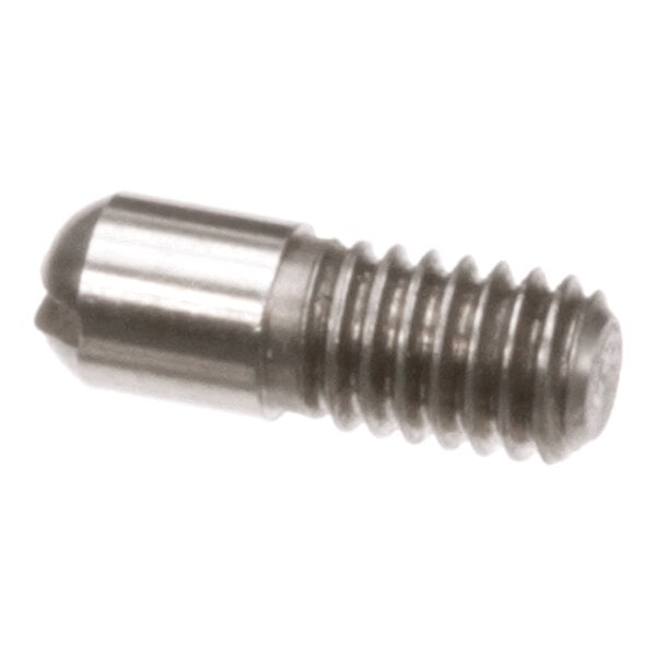 A small metallic screw with a threaded body and a rounded, smooth tip.