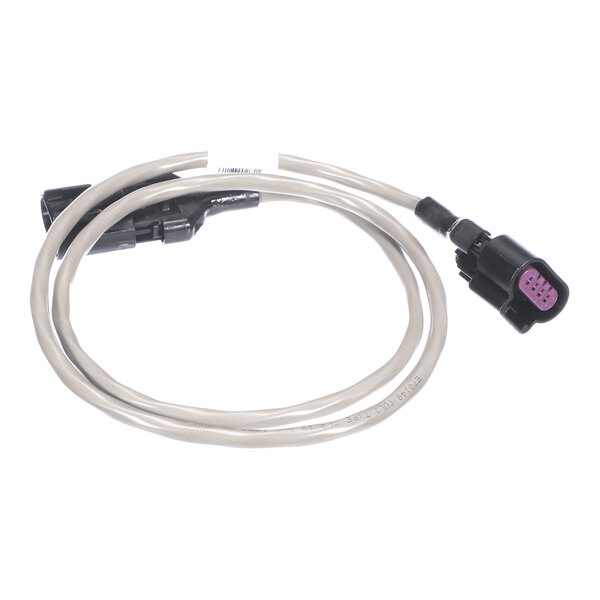 A coiled beige cable with black connectors on both ends, one of which has visible purple pins.