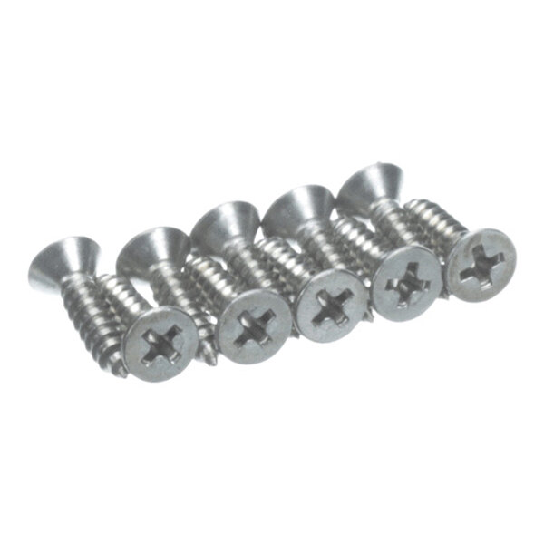 Six silver-colored, flat-head Phillips screws are arranged in a row on a white background.