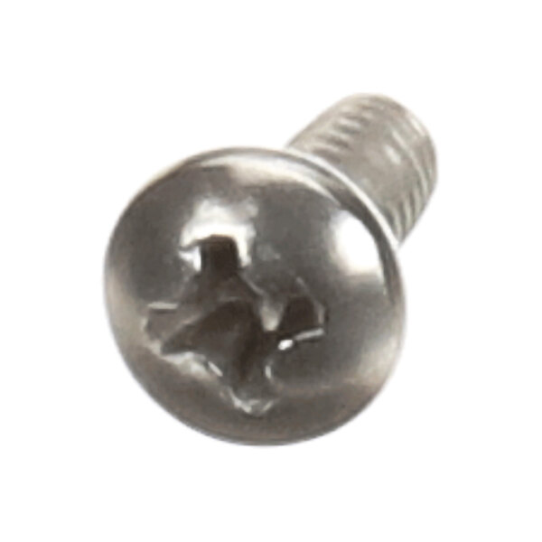 A metal screw with a Phillips pan head and threaded shaft.