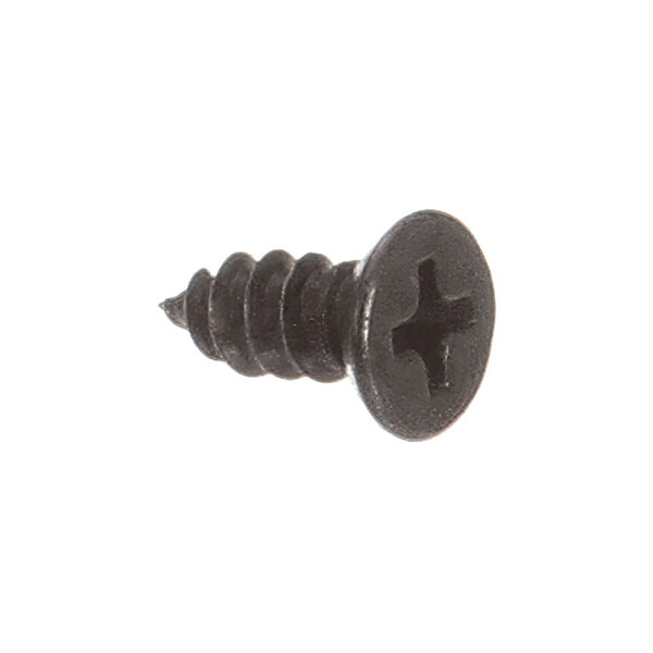 A single black Phillips head screw with a flat, round head and coarse threads, shown against a white background.